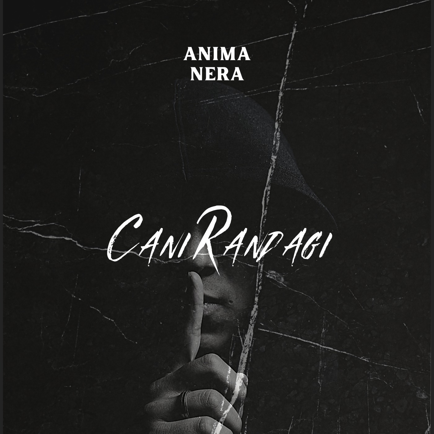 “Cani Randagi” : Le Cri Humanitaire des Anima Nera